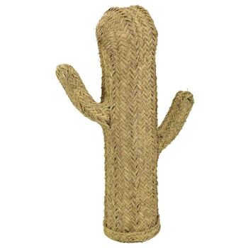 SPARTO CACTUS 20x50x80h cm référence:19187 1