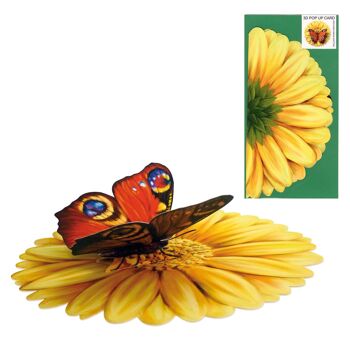Papillon de carte pop-up 3