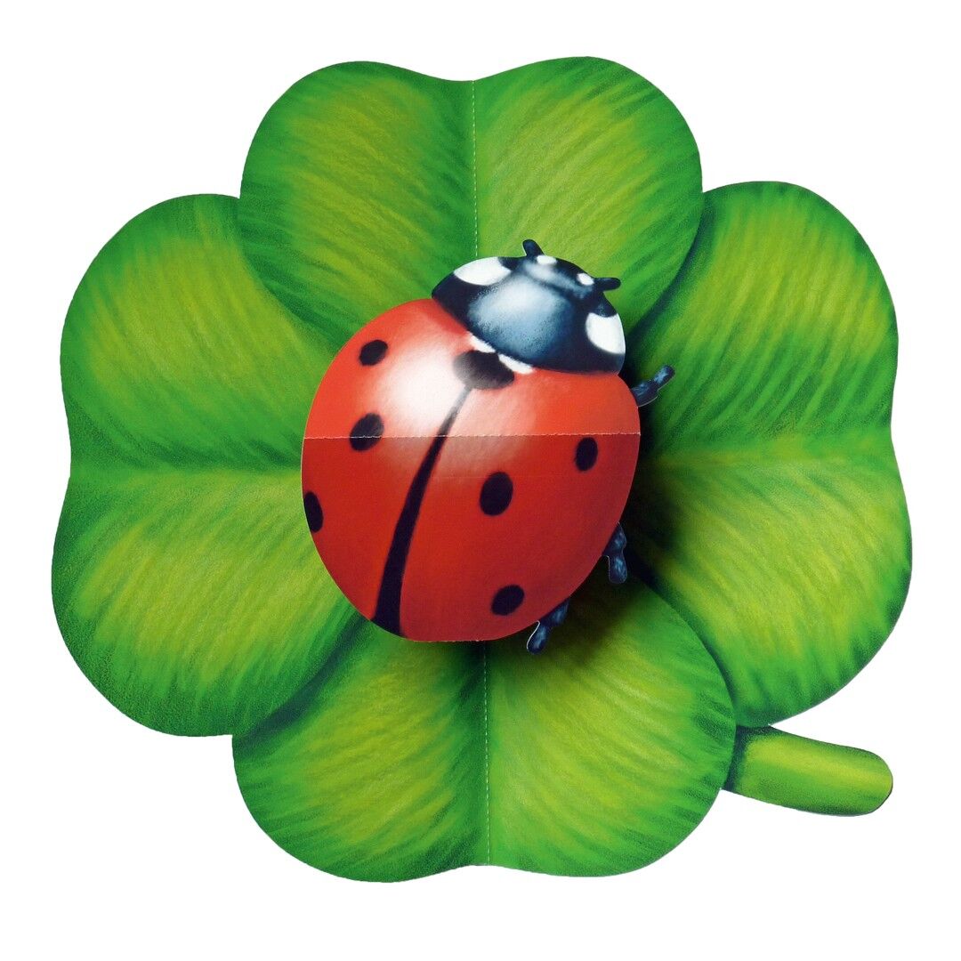 Biglietto pop-up coccinella
