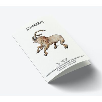 Capricorn zodiac A7 card