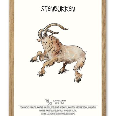 Steinbock Sternzeichen A3 Poster