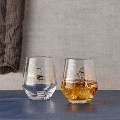 Set of 2 Skye DOF Tumblers