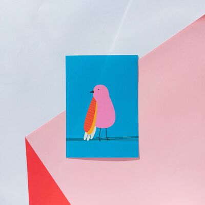 tarjeta de ilustración de decoración de aves