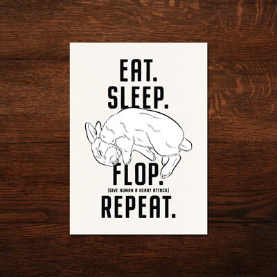 Postcard "Flop"