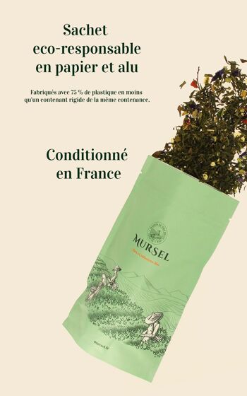 N°11 - Thé vert BIO – Pêche majestueuse – Saveur pêche - 75gr 5