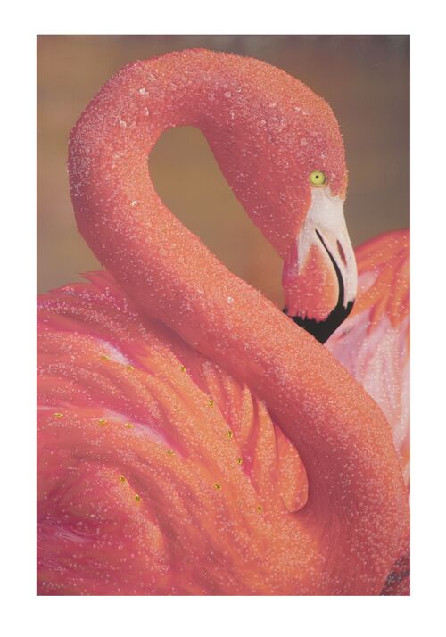 HANDMADE WALL PAINTING WITH APPLICATIONS-A- FLAMINGO CM 80X3,8X120 D031912000A