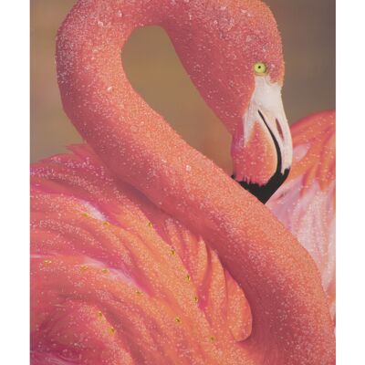 HANDGEMACHTES WANDMALEREI MIT ANWENDUNGEN-A- FLAMINGO CM 80X3,8X120 D031912000A