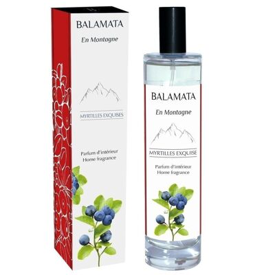 Exquisite Blueberries - Home Fragrance - 100ml - In the Mountains