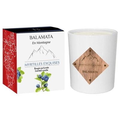 Exquisite Blueberries - Scented Candle - 200G - In the Mountains