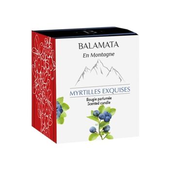Myrtilles Exquises - Bougie Parfumée - 200G 3