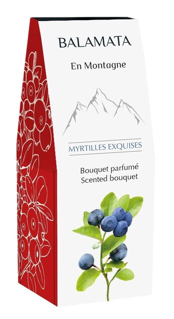 Myrtilles Exquises - Bouquet Parfumé - 100ml 4