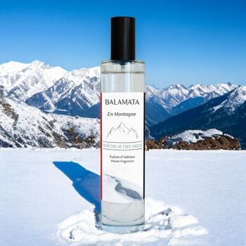 Fraîcheur Des Neiges - Parfum d'Intérieur - 50ml - En Montagne 1