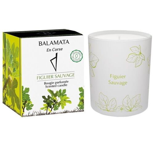 Figuier Sauvage - Bougie Parfumée - 200G