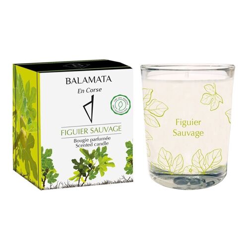 Figuier Sauvage - Bougie Parfumée - 80G - En Corse