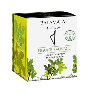 Figuier Sauvage - Bougie Parfumée - 80G - En Corse 3