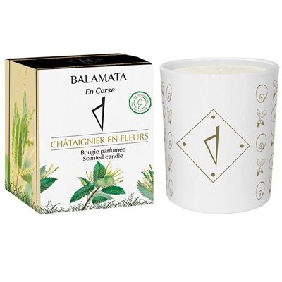 Chestnut Tree In Bloom - Scented Candle - 200G - In Corsica