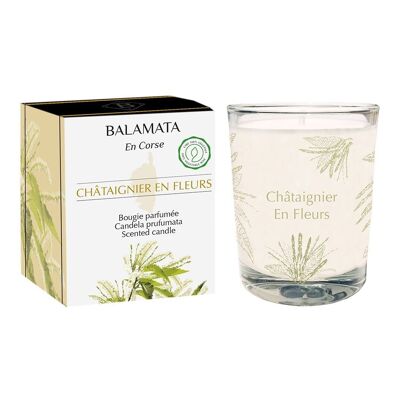 Châtaignier En Fleurs - Bougie Parfumée - 80G