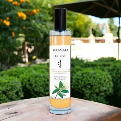 Blühender Kastanienbaum – Raumduft – 50 ml – auf Korsika