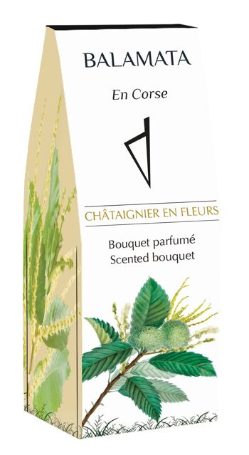 Châtaignier En Fleurs - Bouquet Parfumé - 100ml - En Corse 4