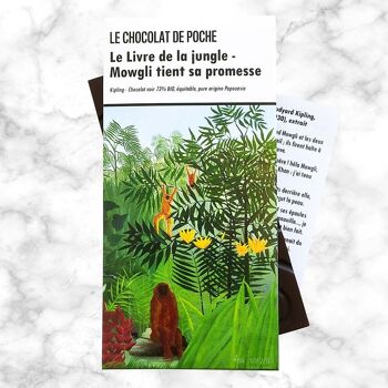 Duo de tablettes de chocolat noir Le Livre de la jungle, pure origine bio et équitable 3