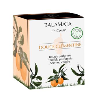 Douce Clémentine - Bougie Parfumée - 80G 3