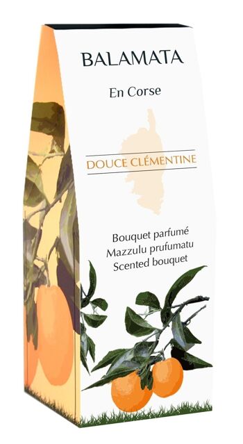 Douce Clémentine - Bouquet Parfumé - 100ml 4