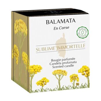 Sublime Immortelle - Bougie Parfumée - 200G - En Corse 4