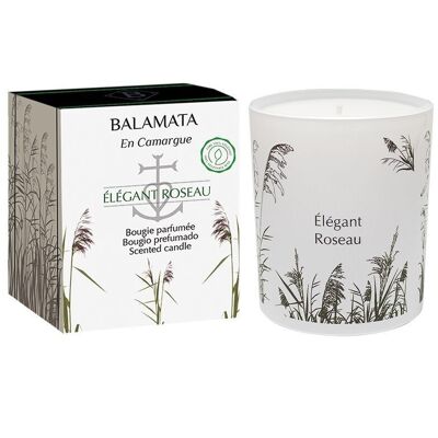 Élégant Roseau - Bougie Parfumée - 200G