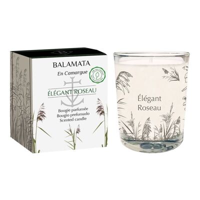 Elegant Reed - Scented Candle - 80G