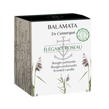 Élégant Roseau - Bougie Parfumée - 80G - En Camargue 3