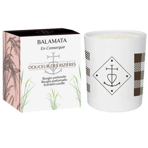 Douceur Des Rizières - Bougie Parfumée - 200G