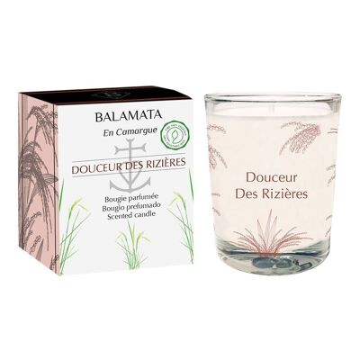 Douceur Des Rizières - Vela Perfumada - 80G