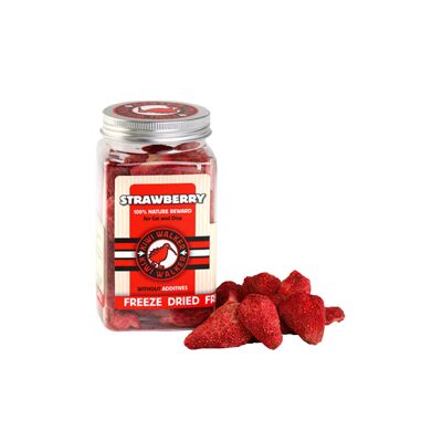 Fraises – Kiwi Walker – 25g