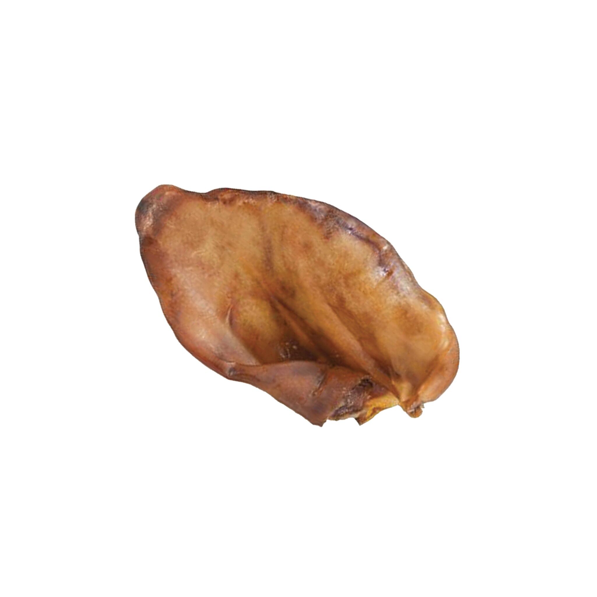 Achat Oreille de cochon en gros