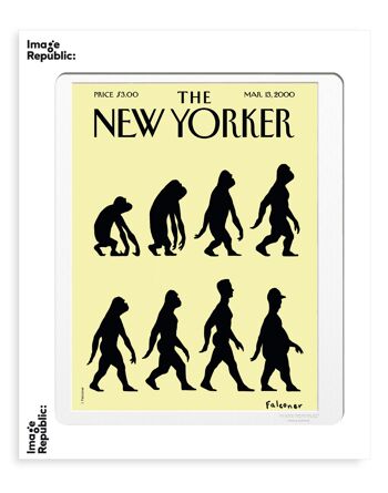 AFFICHE 30x40 cm THE NEWYORKER 48 FALCONER EVOLUTION 51157