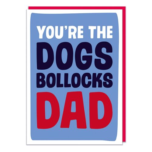 You're The Dogs B*llocks Dad Funny Father's Day Card