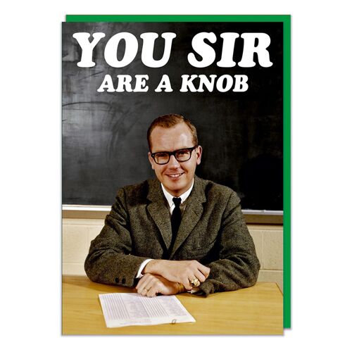 You Sir Are A Knob Funny Birthday Card