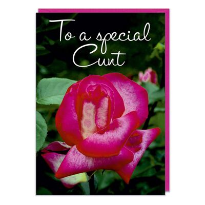 To a Special C**t Rude Birthday Card
