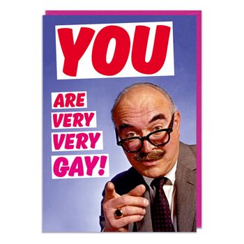 Vous êtes une carte d'anniversaire drôle très très gay 1