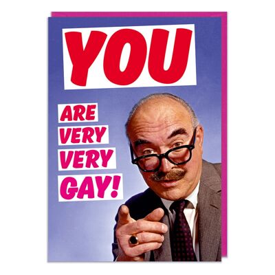 You Are Very Very Gay Funny Birthday Card
