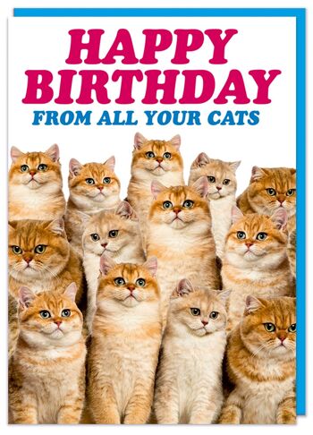 Carte d'anniversaire drôle de joyeux anniversaire de tous vos chats 2
