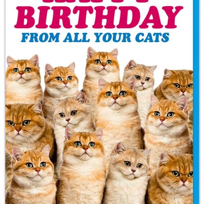 Feliz cumpleaños de parte de todos tus gatos Tarjeta de cumpleaños divertida