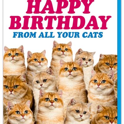 Carte d'anniversaire drôle de joyeux anniversaire de tous vos chats