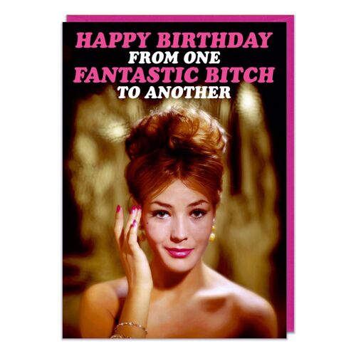 Happy Birthday From One Fantastic Bitch Funny Birthday Card