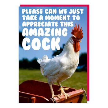 Appréciez cette carte d'anniversaire drôle de coq incroyable 2