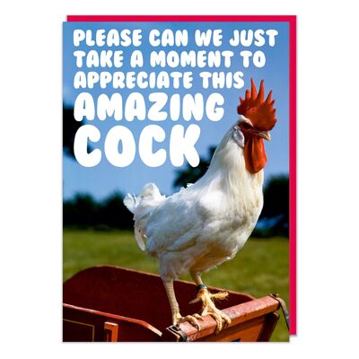 Appreciate This Amazing Cock Funny Birthday Card