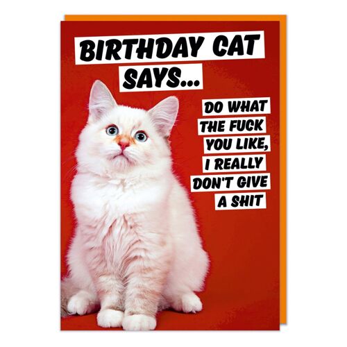 Birthday Cat Says Rude Birthday Card