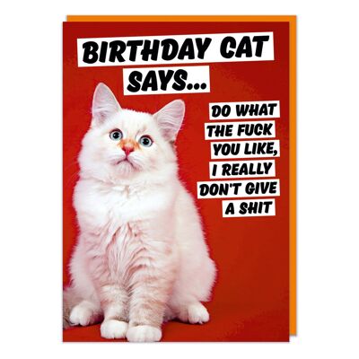 Il gatto di compleanno dice un biglietto di compleanno maleducato