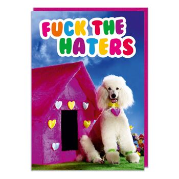 F *** The Haters Funny Carte de vœux 2