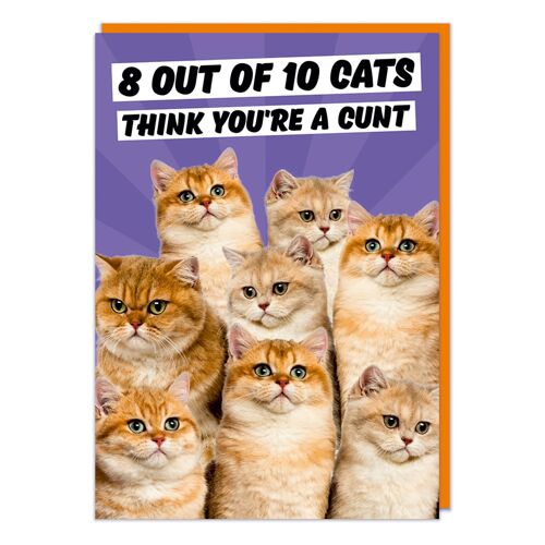8 out of 10 Cats Rude Birthday Card
